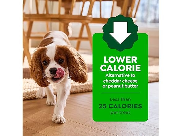 Greenies Pill Pockets for Dogs Large Size
