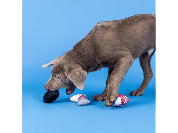 Fringe Studio Plush Dog Toy, 3 Pieces Set