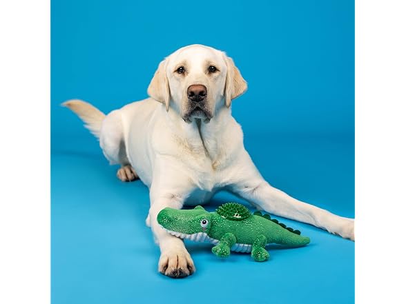 Fringe Studio Plush Dog Toy, Ready to Croc