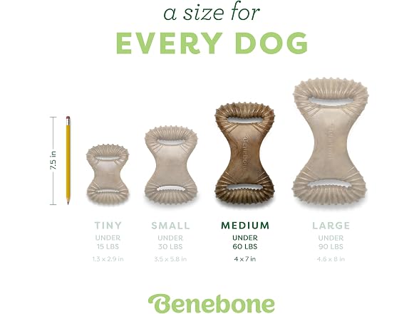 Benebone Benebone Dental Durable Dog Chew Toy