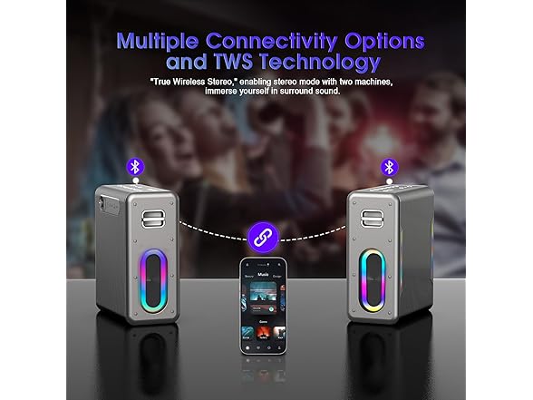 Zeelink Karaoke Machine with Two Microphones