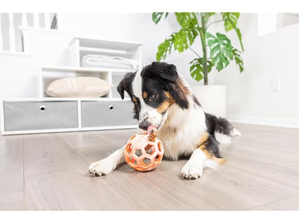 Chuckit! Holee Roller Dog Treat Puzzle Ball, Medium
