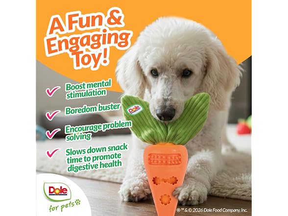 Dole for Pets Dole for Pets Dog Puzzle Toy with
