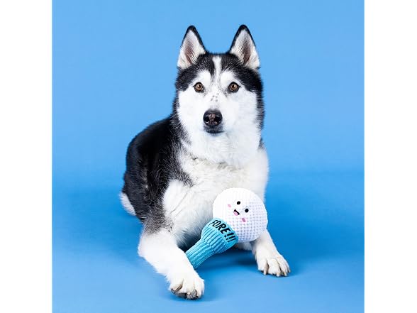 Fringe Studio Plush Dog Toy, Today is TEE-RIFFIC