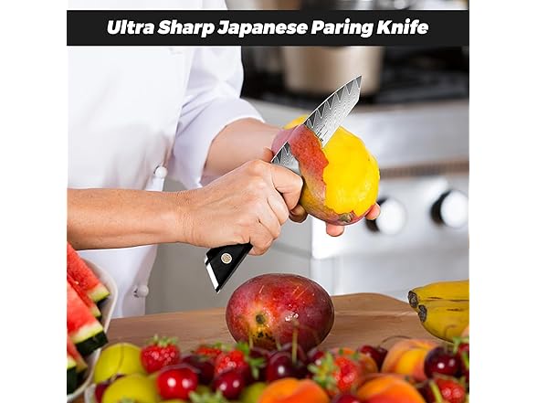SHAN ZU 4 Inch Damascus paring knife