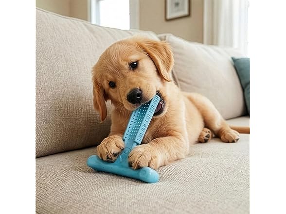 SPOT Bam-Bones Puppy T-Bone Dog Chew Toys, 2PK Blue