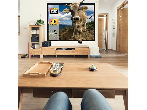 ProHT 84" Manual Projection Screen