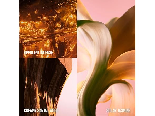 Fame Intense/Paco Rabanne EDP Spray Refillable 2.7 Oz=