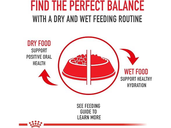 Royal Canin Size Health Nutrition Small Dog