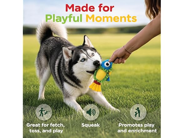 Bow Wow Pet Squeaky Plush Dog Toy with Crinkle Fish Taco
