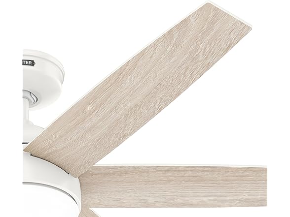 Hunter Fan 52 Inch White Indoor Ceiling Fan with Light and Remote