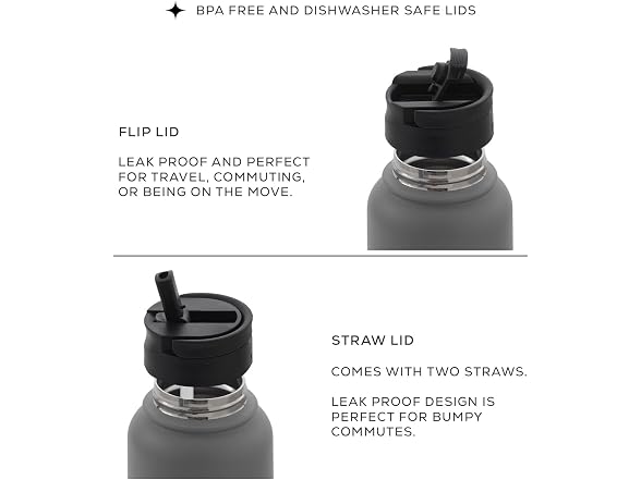 JoyJolt Triple Insulated Water Bottle