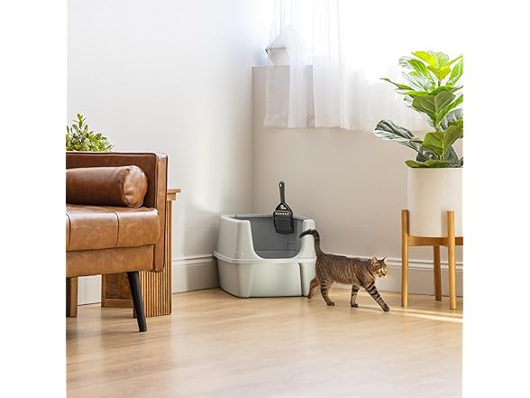 IRIS USA Large Cat Litter Box