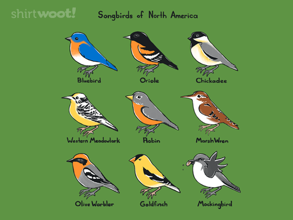 Songbirds Of North America Songbirds Of North America