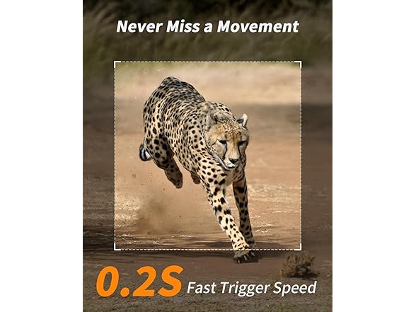 Loatos Cellular Trail Camera