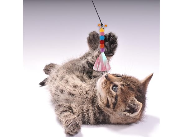 2pcs Cat Wand Replacement for Pet Interactiv
