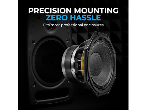 B&C 8-Inch Mid-Bass Woofer