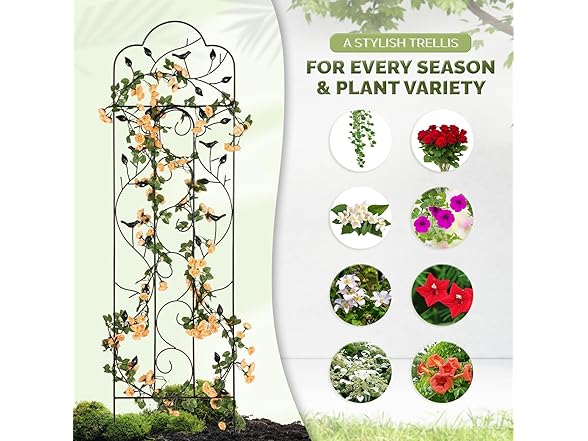 Idzo 60in 5ft 100% Metal Garden Trellises