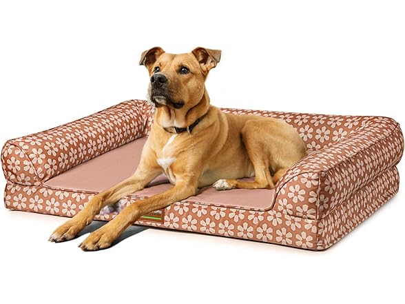 ClevaHome Comfort Orthopedic Dog Bed for Large Dogs