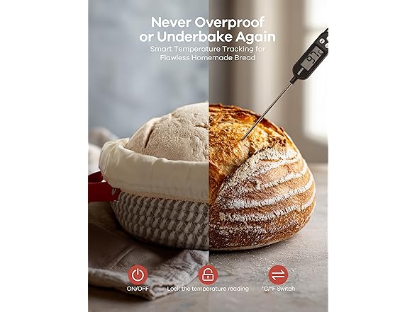 Ganiza Sourdough Starter Kit