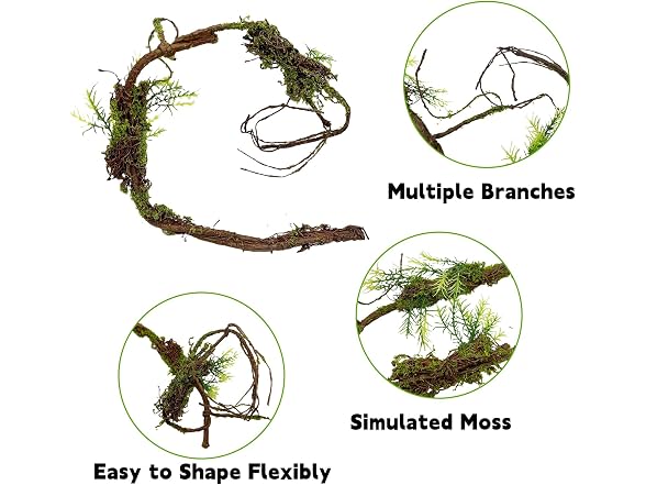BNOSDM Reptile Plants, Flexible Rainforest Vines w Moss