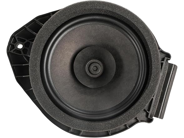 Rear Side Door Speaker