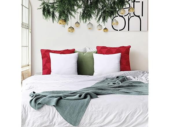 Throw Pillows Insert (Pack of 2) 18"x18"