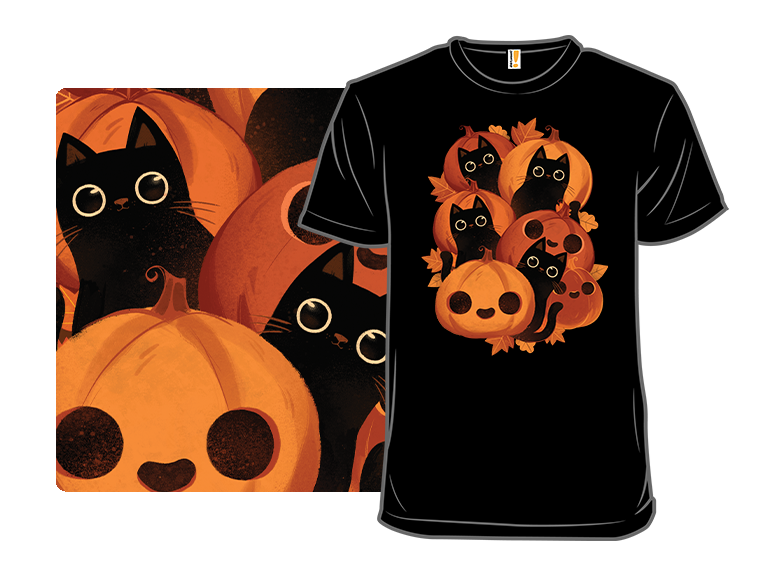 Pumpkins and Black Kitties!