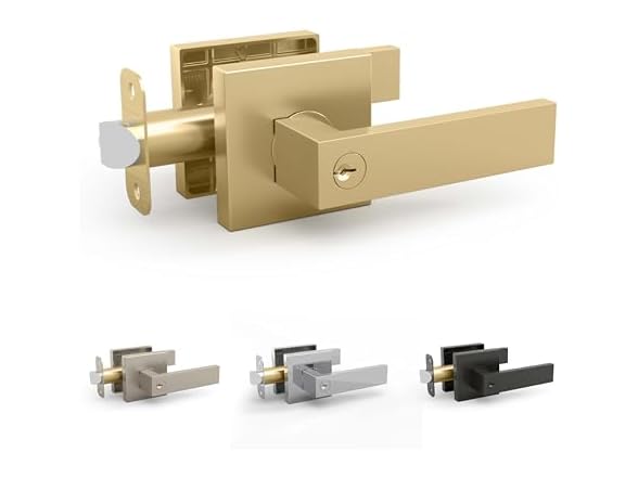 Satin Brass Entry