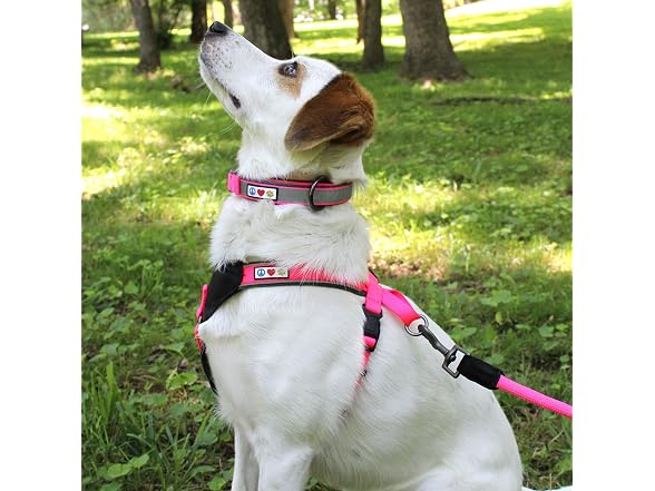 Pawtitas Lumberjack Padded Martingale Collar