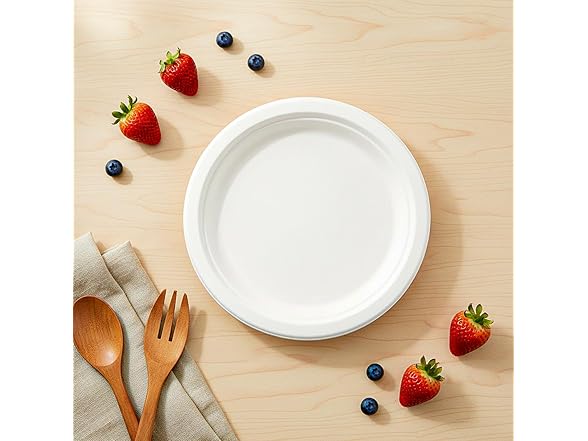Sugarcane Paper Plates 9" 100ct