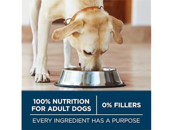 Purina One +Plus Dry Dog Food for Large Dogs