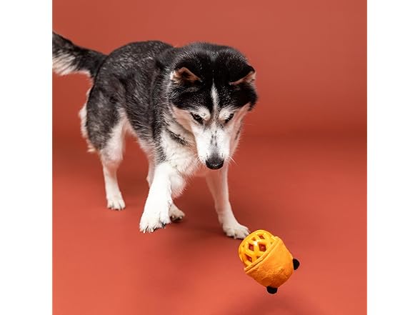 Fringe Studio Rubber Dog Toy, GO GET EM Tiger