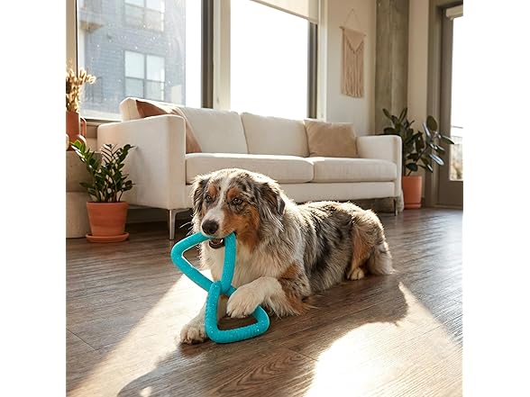 Pupstages Flex-Force Tug Dog Toy for Fetch & Tug
