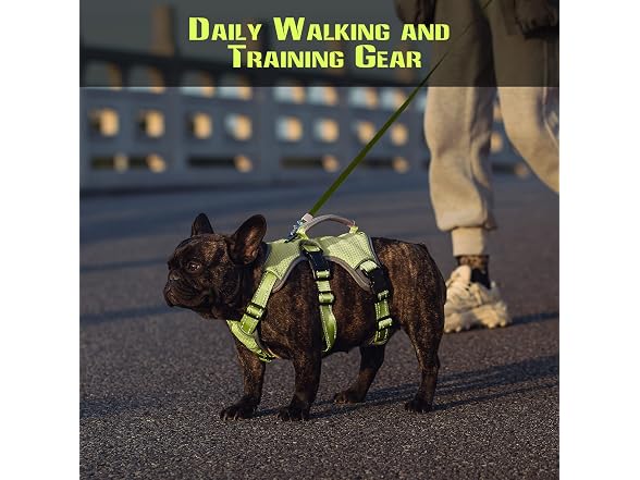 No Escape Dog Harness, Escape Proof Harness,