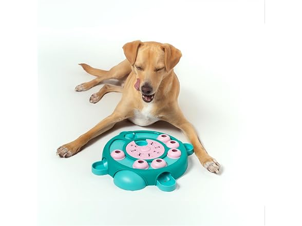 Friends Forever Dog Puzzles Toys with Slower Feeder