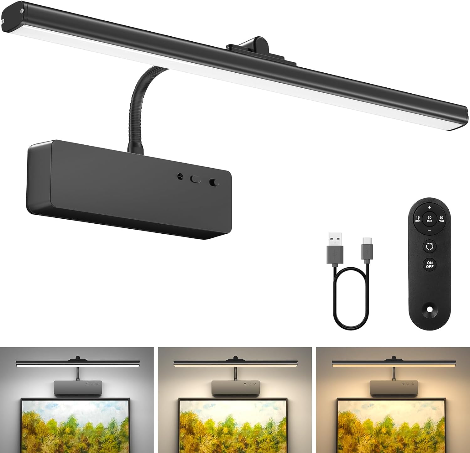 Lightbiz Picture Light for Wall - Gallery 12