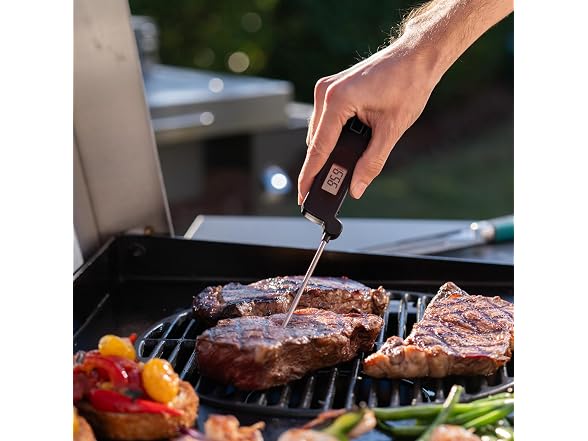 Charbroil Digital Thermometer