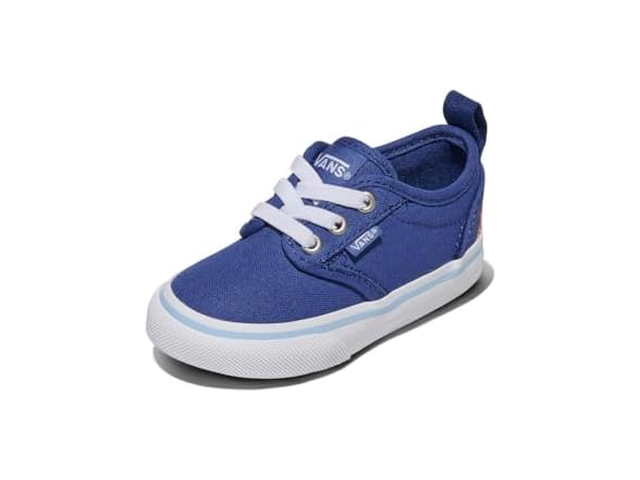 Vans Atwood Embroidery True Shoe