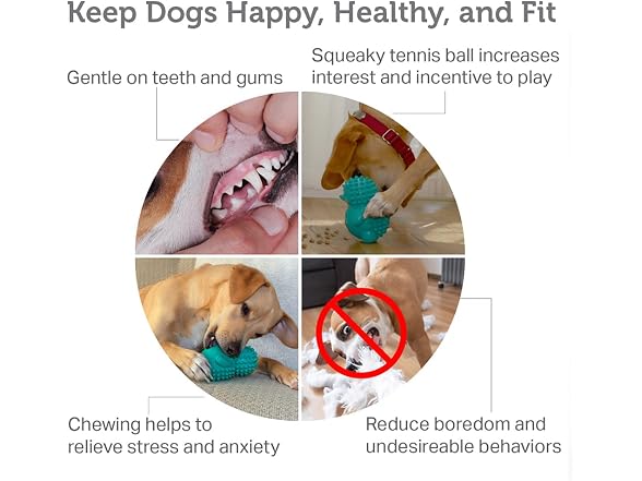 Friends Forever Squeaky Dog Toys with Tennis Ball