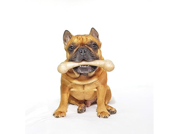 Pet Qwerks Original BarkBone, BBQ