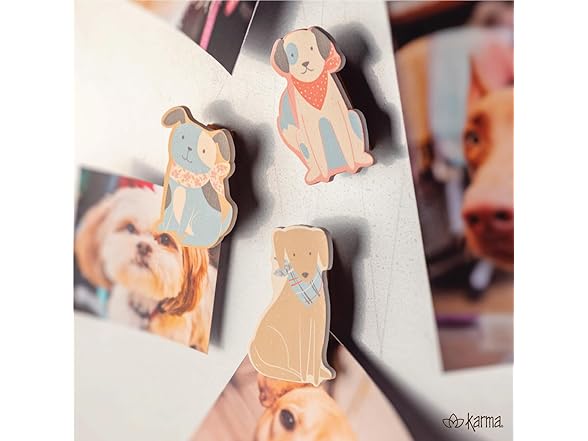 Karma Magnetic Chip Clips Mythical