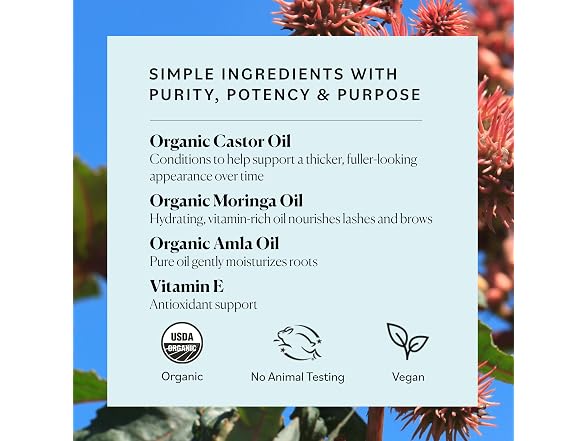 Sky Organics Castor Oil Lash and Brow Serum