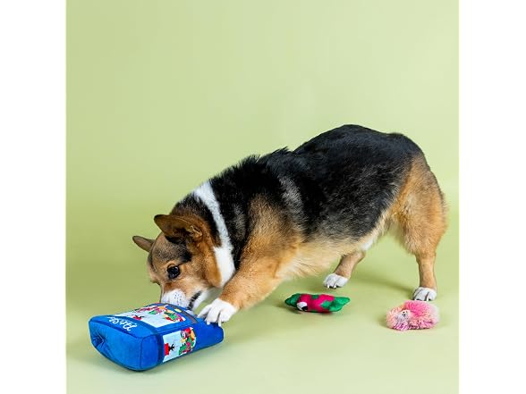 Fringe Studio Ready, Set, Claw Hide and Seek Dog Toy - Gallery 4