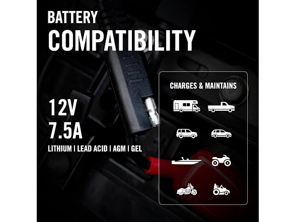 Battery Tender Ring Terminal Harness