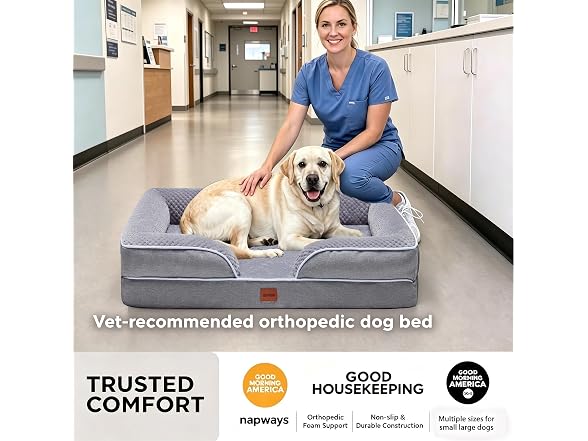 NAPWAYS Orthopedic XL Dog Bed Extra Large