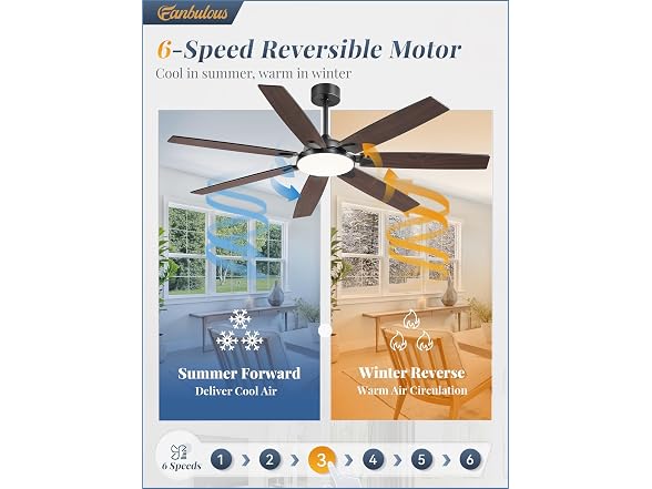 Fanbulous Black 62” Ceiling Fan with Lights