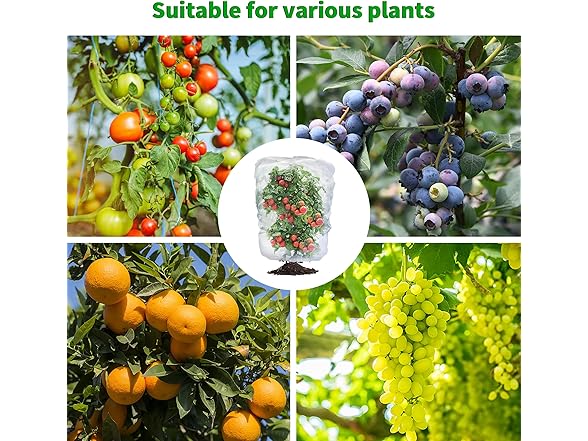 afzdby BC520325050004 Fruit tree netting