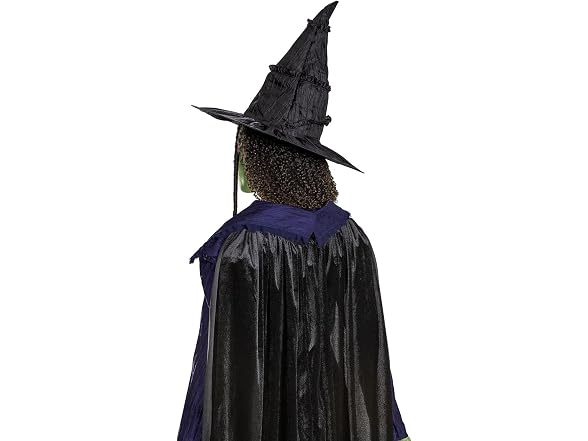 Disguise Wicked Elphaba Adult Deluxe Costume Small (4-6)