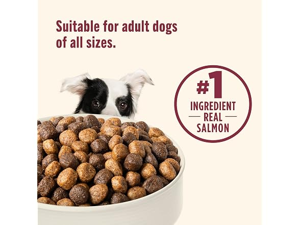 Salmon Rice Dry Dog Food 13lb